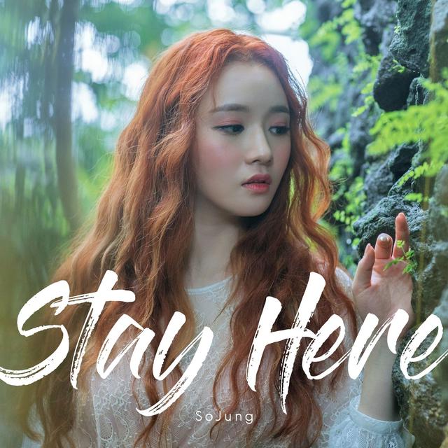 Album cover art for Stay Here