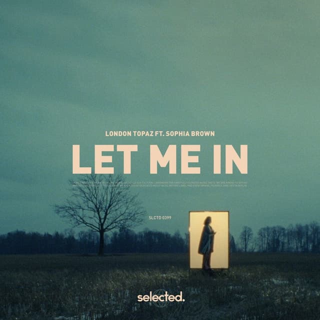 Album cover art for Let Me In