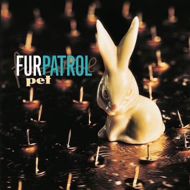 Album cover art for Pet