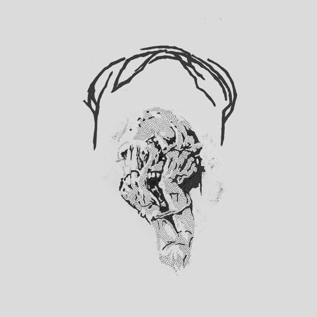 Album cover art for Coal