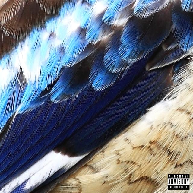 Album cover art for Shade