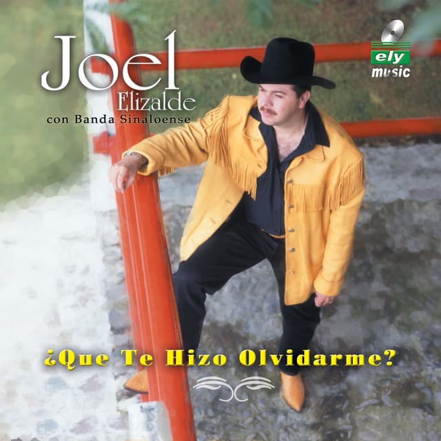 Album cover art for Que Te Hizo Olvidarme