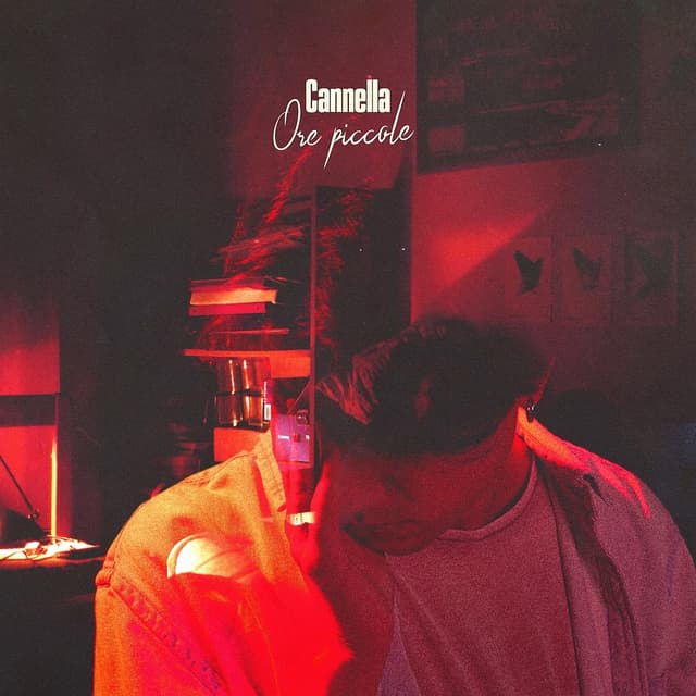 Album cover art for Ore piccole