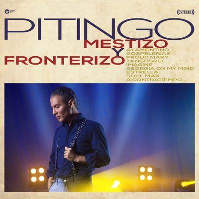 Album cover art for Mestizo y fronterizo