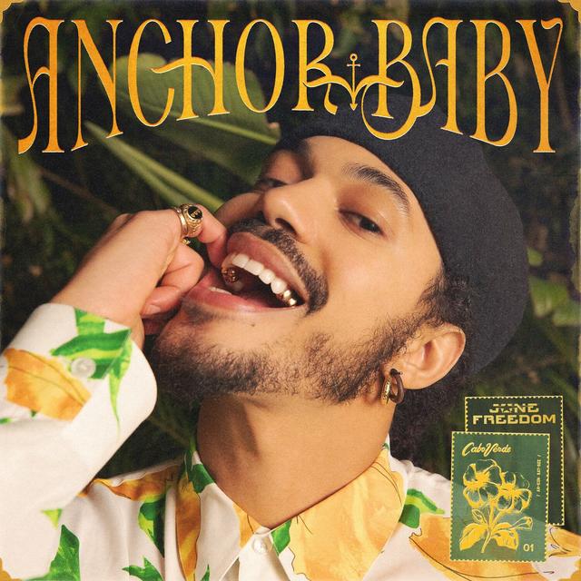 Album cover art for Anchor Baby