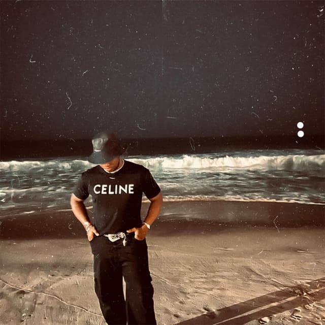 Album cover art for Darling