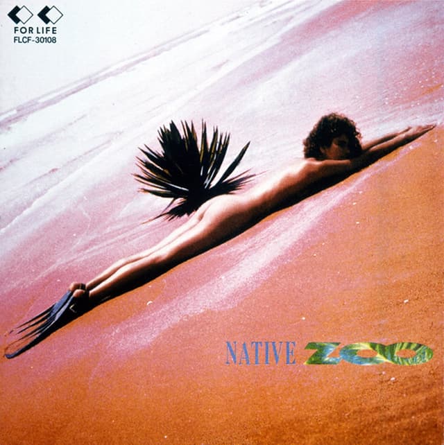Album cover art for NATIVE