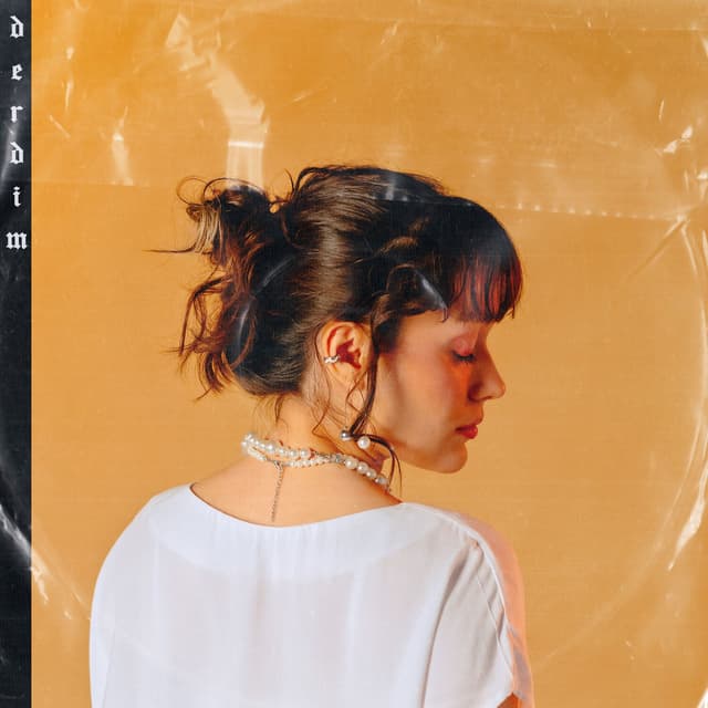 Album cover art for Derdim