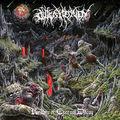Album cover art for Realms of Eternal Decay