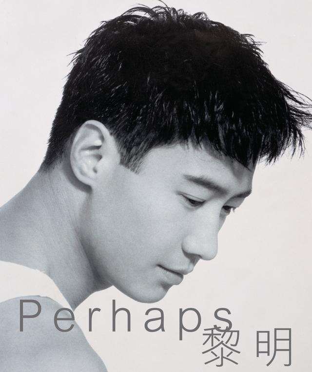 Album cover art for Perhaps...