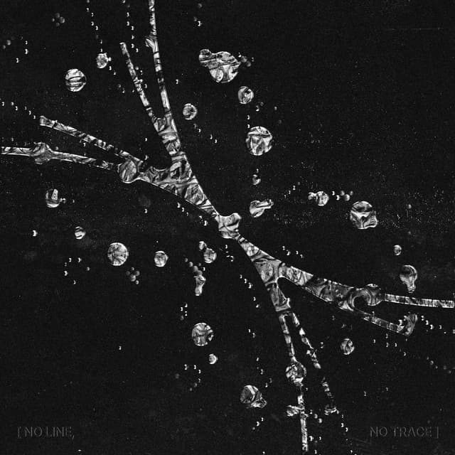 Album cover art for [8.X]