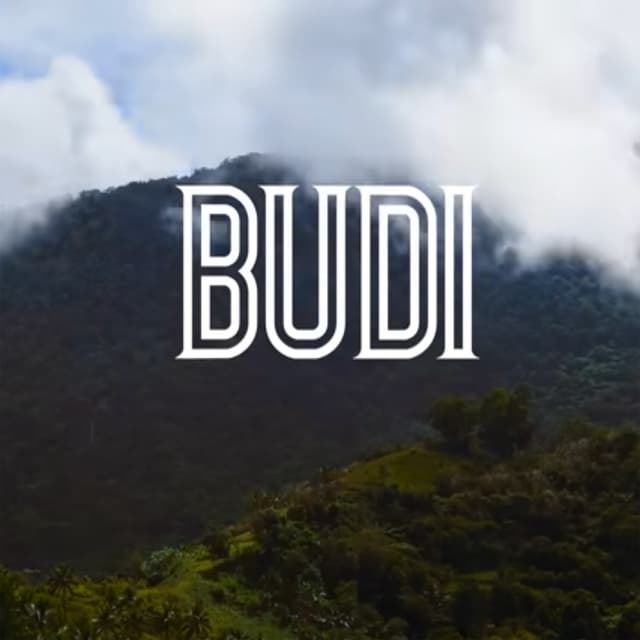 Album cover art for Budi