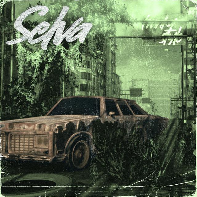 Album cover art for Selva