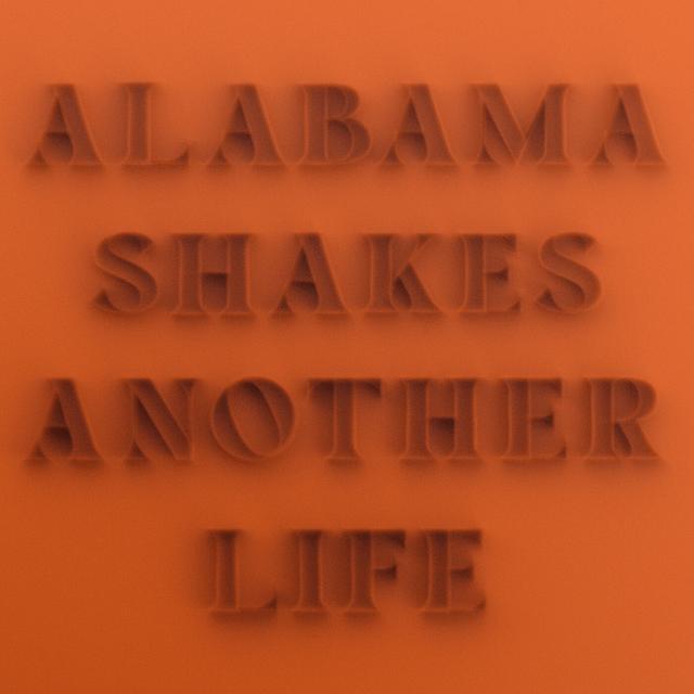 Album cover art for Another Life
