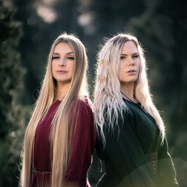Album cover art for En kungens man