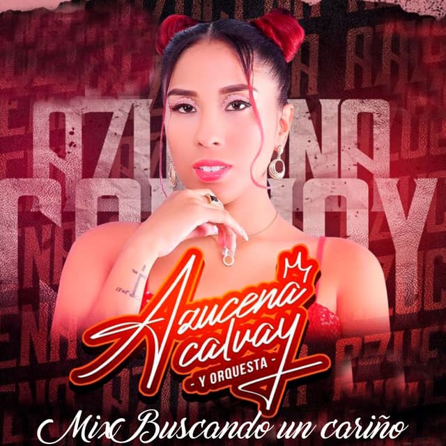 Album cover art for Mix Buscando un Cariño