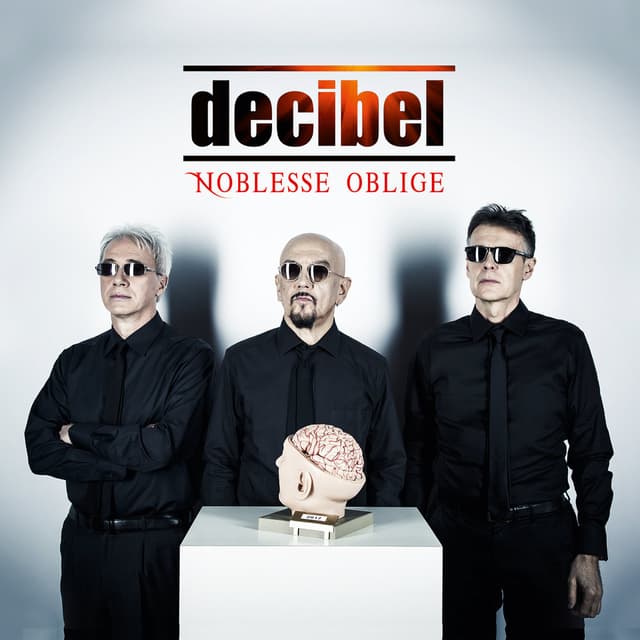 Album cover art for Noblesse oblige