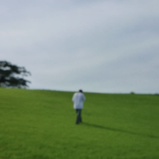 Album cover art for In Spite Of That