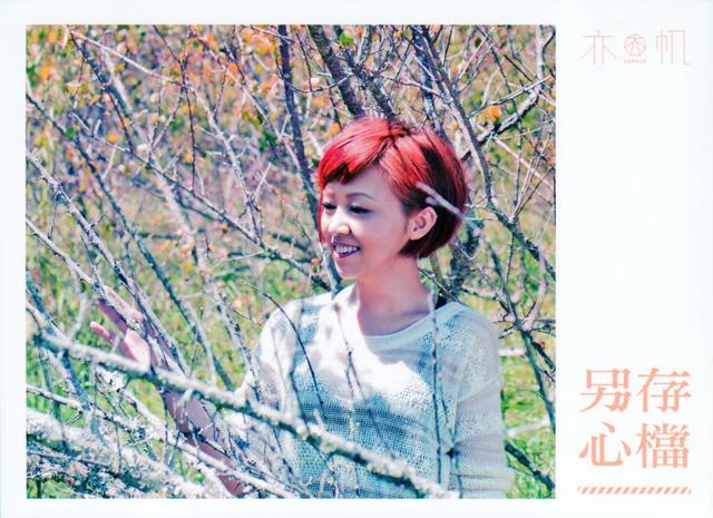 Album cover art for 另存心檔