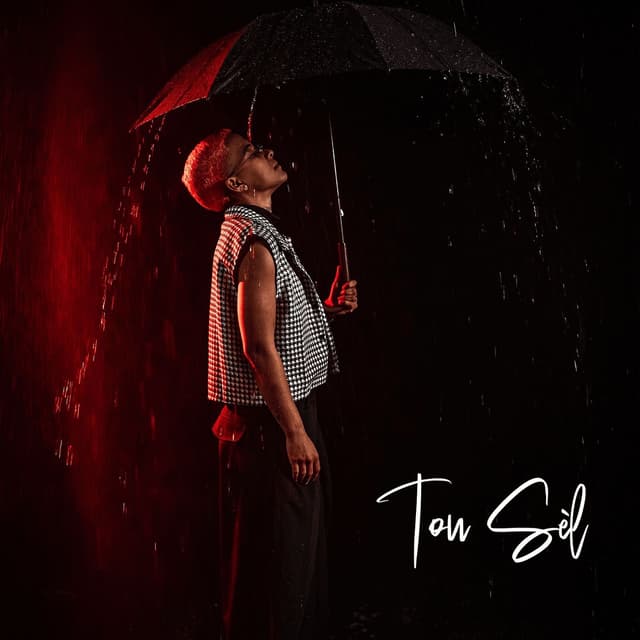 Album cover art for TOU SÈL