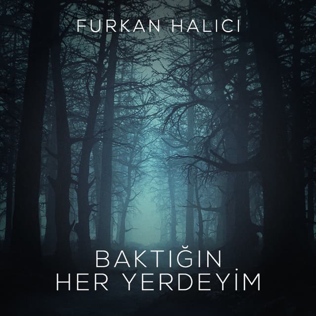Album cover art for Baktığın Her Yerdeyim