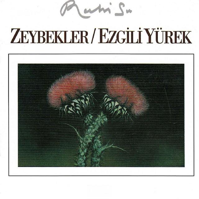 Album cover art for Zeybekler / Ezgili Yürek