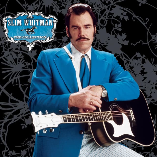 Album cover art for The Collection