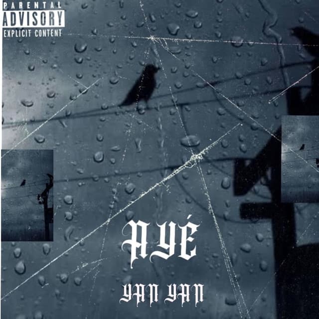 Album cover art for Aye