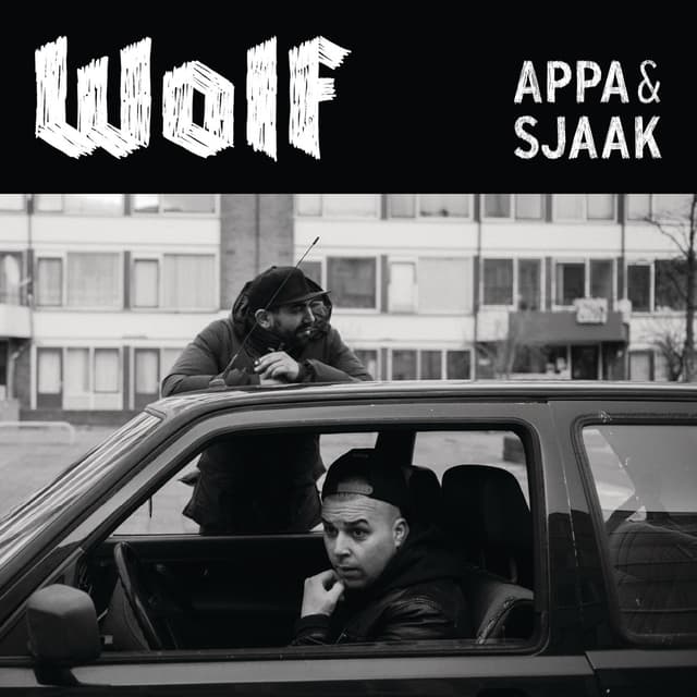 Album cover art for Wolf