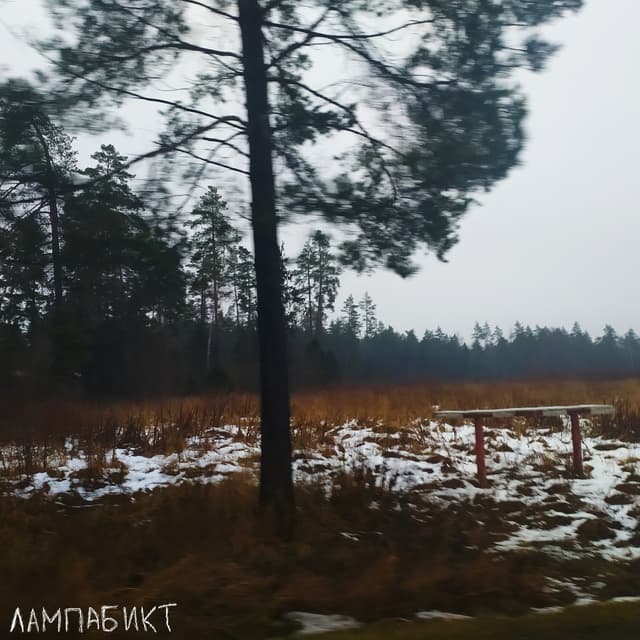 Album cover art for Cинонимы к слову искренность