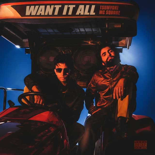 Album cover art for WANT IT ALL