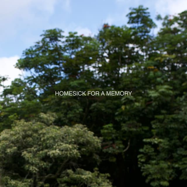 Album cover art for Homesick for a Memory