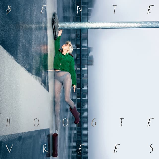 Album cover art for Hoogtevrees