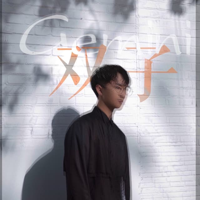 Album cover art for 双子