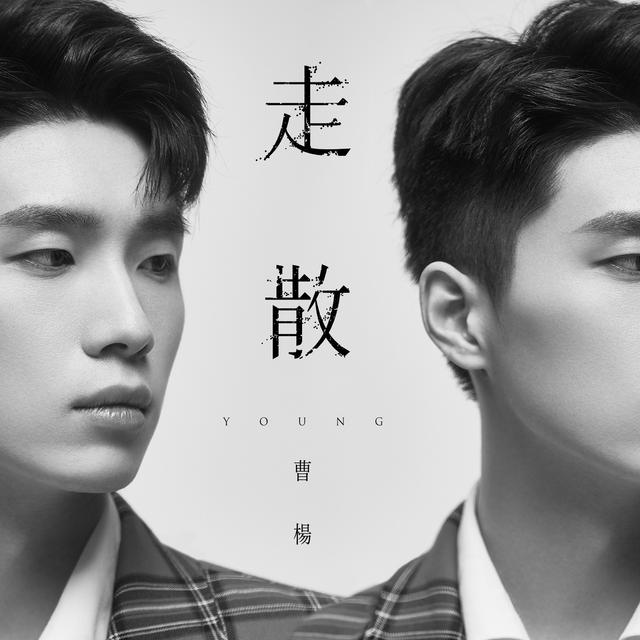 Album cover art for 走散