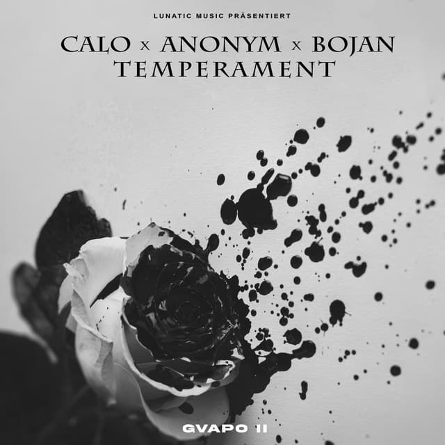 Album cover art for Temperament
