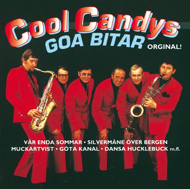 Album cover art for Goa bitar
