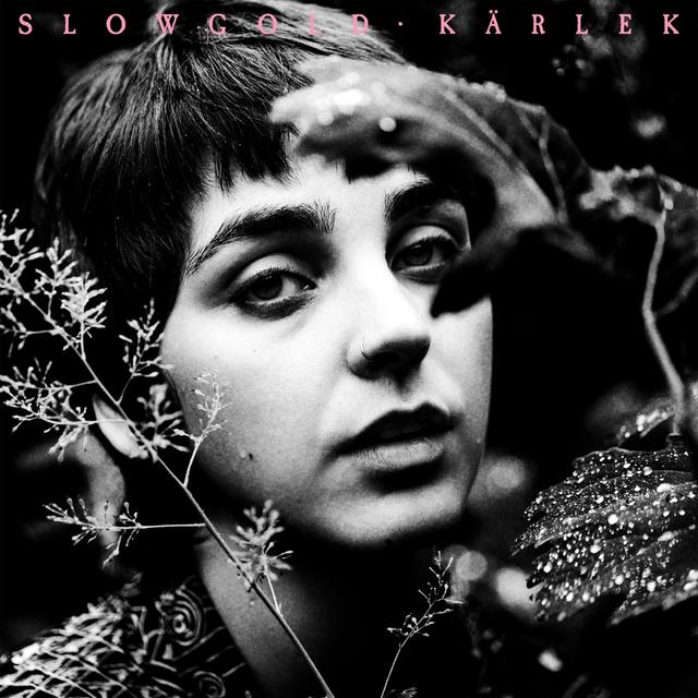 Album cover art for Kärlek