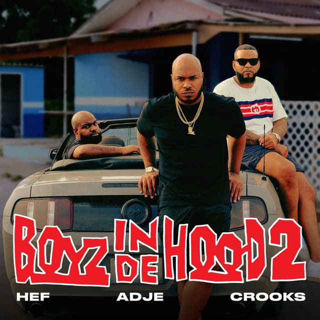 Album cover art for Boyz In De Hood 2