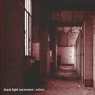 Album cover art for Ashes