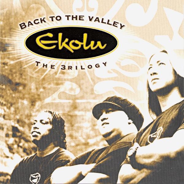 Album cover art for Back to the Valley - The 3rilogy