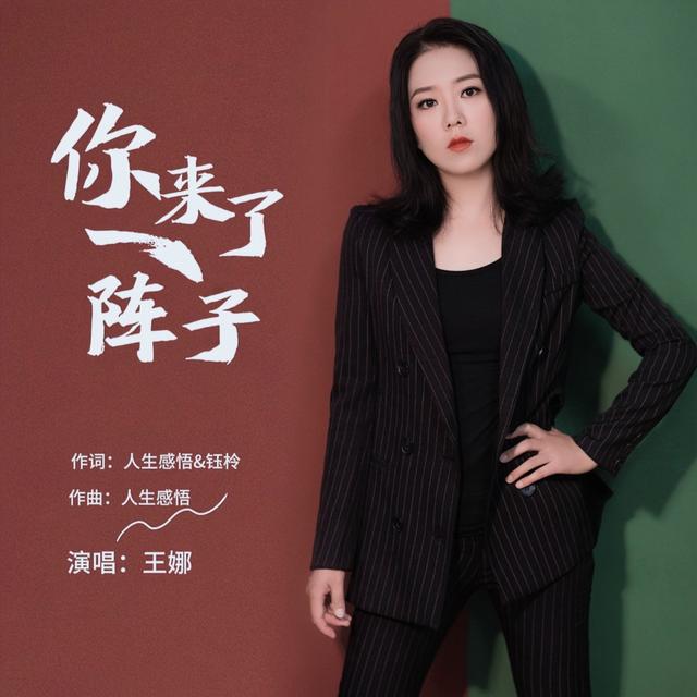 Album cover art for 你来了一阵子
