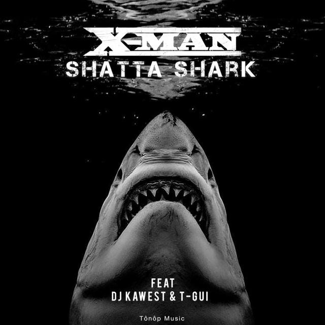 Album cover art for Shatta Shark