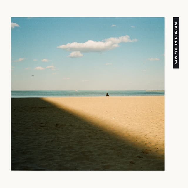 Album cover art for Saw You in a Dream