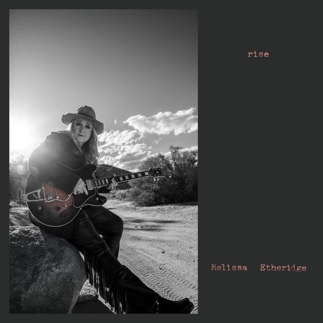 Album cover art for Rise