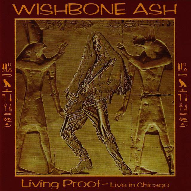 Album cover art for Living Proof - Live in Chicago