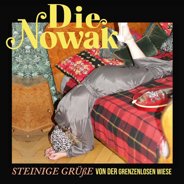 Album cover art for Steinige Grüße von der grenzenlosen Wiese