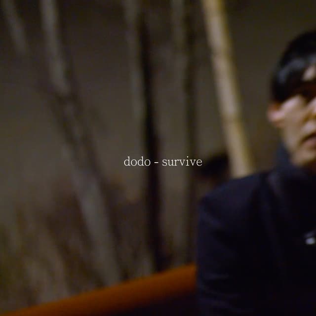 Album cover art for Survive - Single