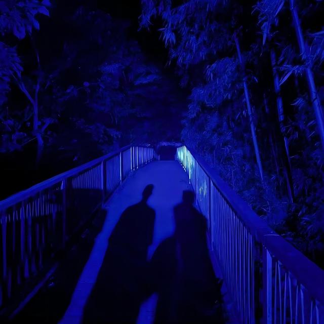 Album cover art for 影子