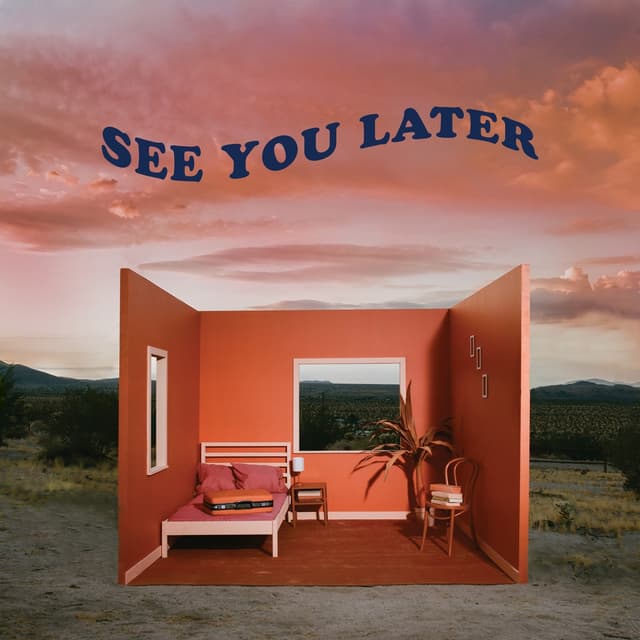 Album cover art for See You Later